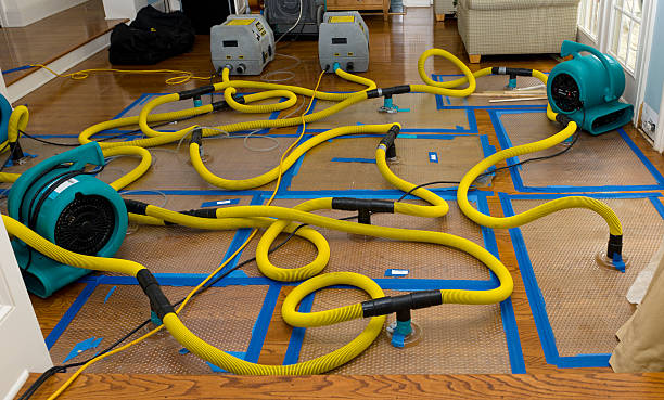 Professional Basement Flood Cleanup technician working in Tahoe Vista, CA